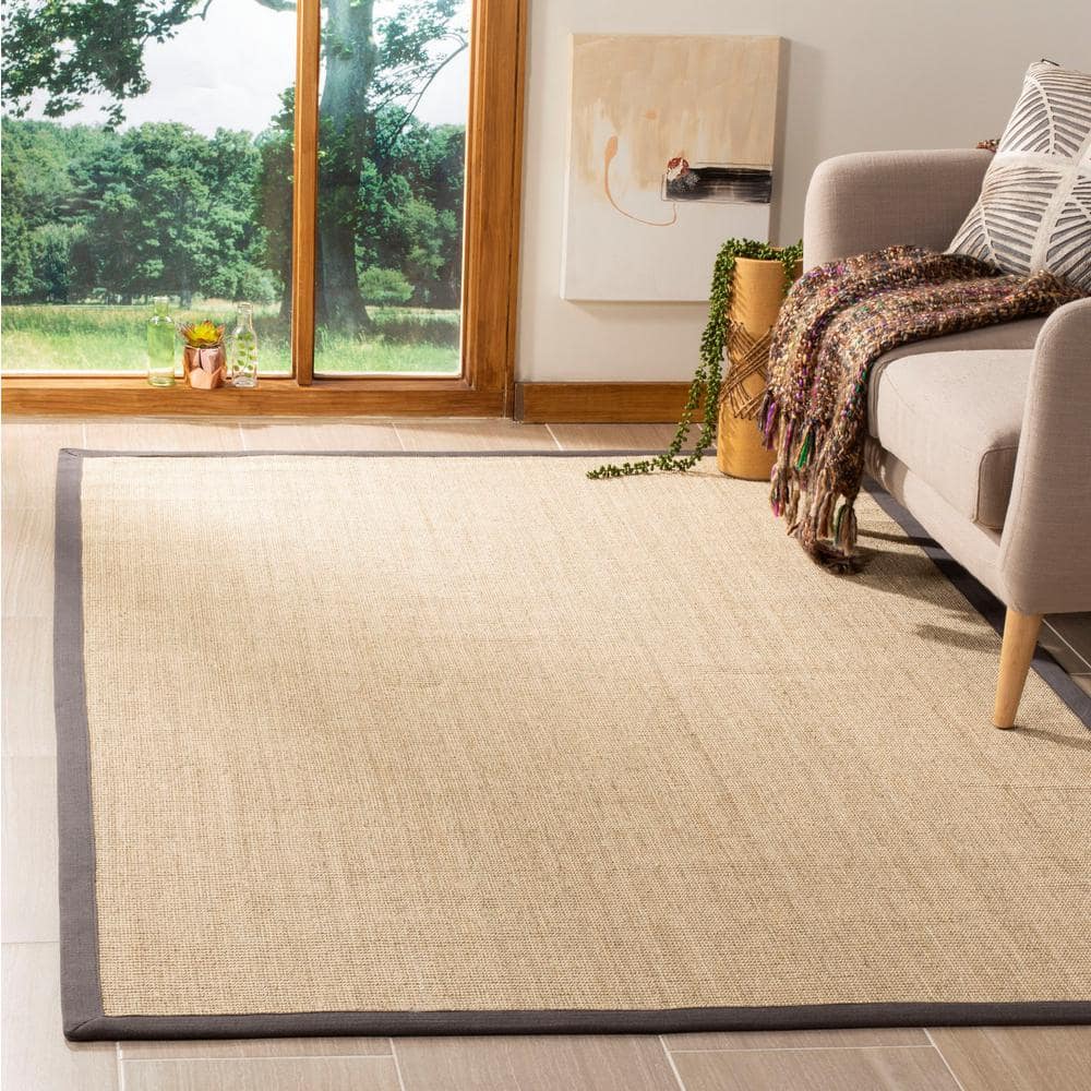 Natural Fiber 3 ft. x 4 ft. Natural/Dark Gray Solid Color Border Area Rug price history on PriceWatchPro