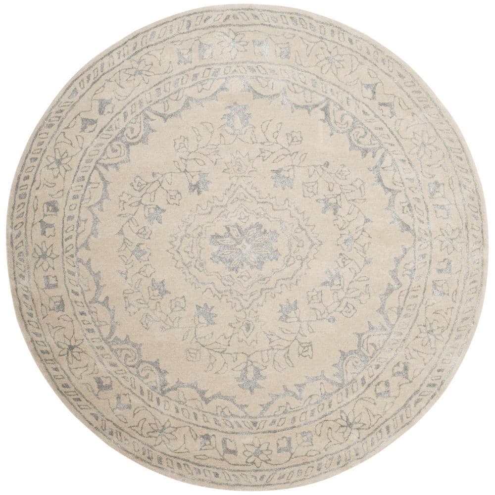 Glamour Light Gray 6 ft. x 6 ft. Round Border Area Rug price history on PriceWatchPro