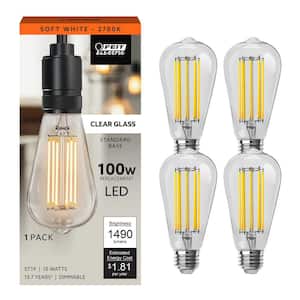 Feit Electric 60-Watt Equivalent ST19 Straight Filament Dusk to