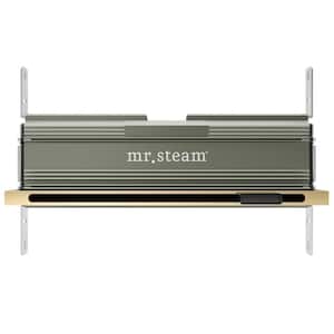 Linear 16 in. W . Steam Head with AromaTherapy Reservoir in Polished Brass
