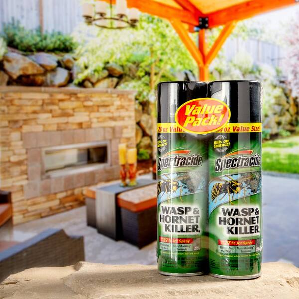 Spectracide Oz Wasp And Hornet Killer Aerosol 12 Pack Hg The Home Depot