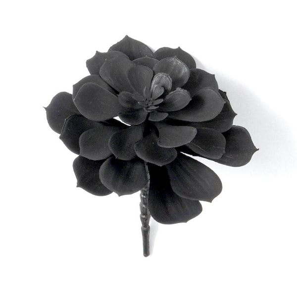 Artificial 7 in. Black Succulent Pick