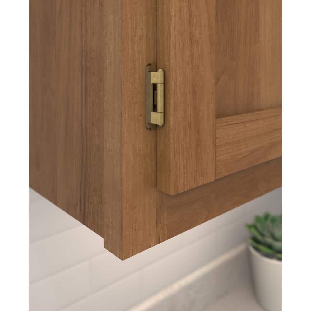 Burnished Brass 1/2 Inch Overlay Self-Closing Cabinet Hinge