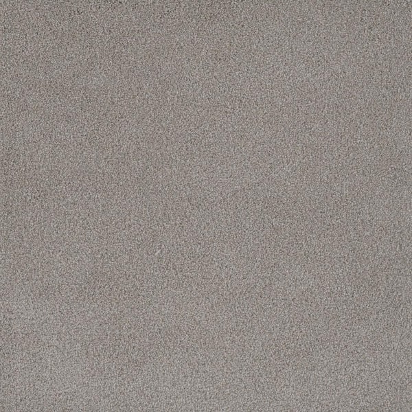 Home Decorators Collection 8 in. x 8 in. Texture Carpet Sample - First Class II -Color Ashland