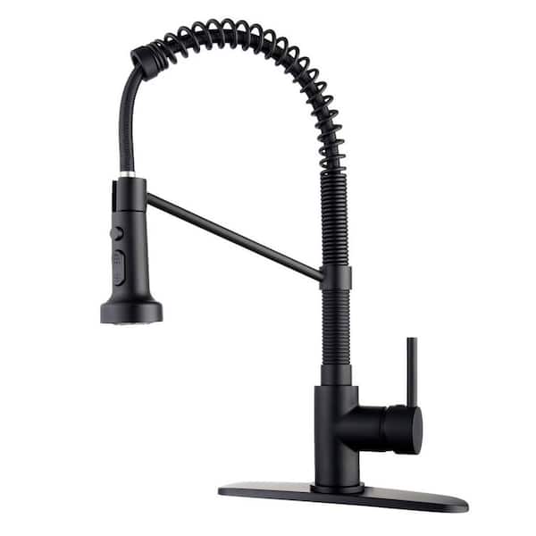 RAINLEX 3 Model Sprayer Single Handle Pull Down Kitchen Faucet with Deckplate and Water Supply Line Included in Matte Black