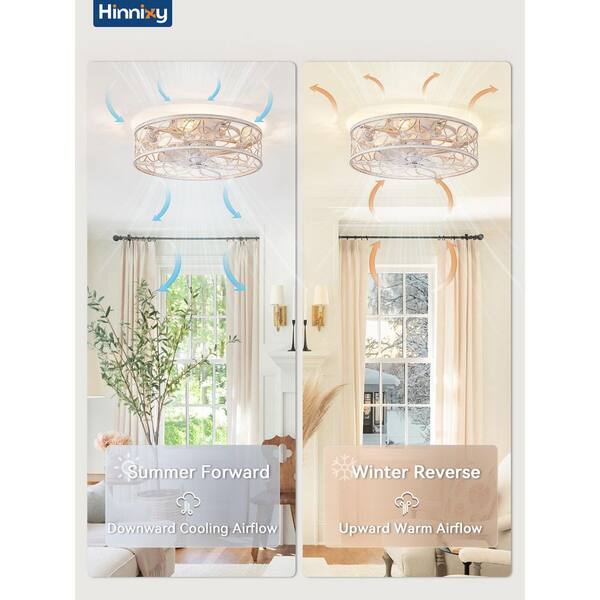 HINNIXY 18 in. Indoor/Outdoor Caged White Gold Flush Mount