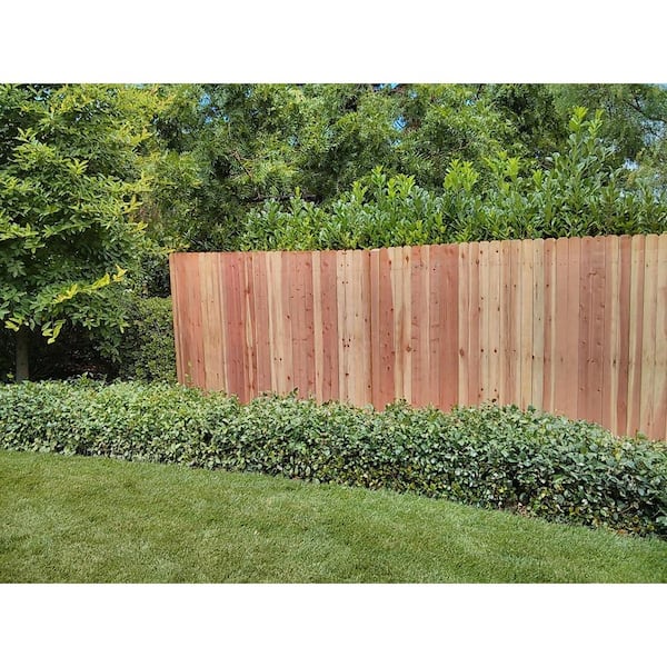 Dog ear fence boards hotsell home depot