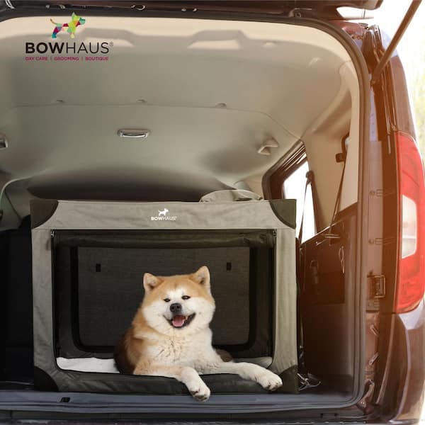 BOWHAUS 42 in. Collapsible Travel Dog Crate with Mesh Window-Large