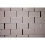 Polyblend #165 Delorean Gray 8 oz. Grout Renew Colorant