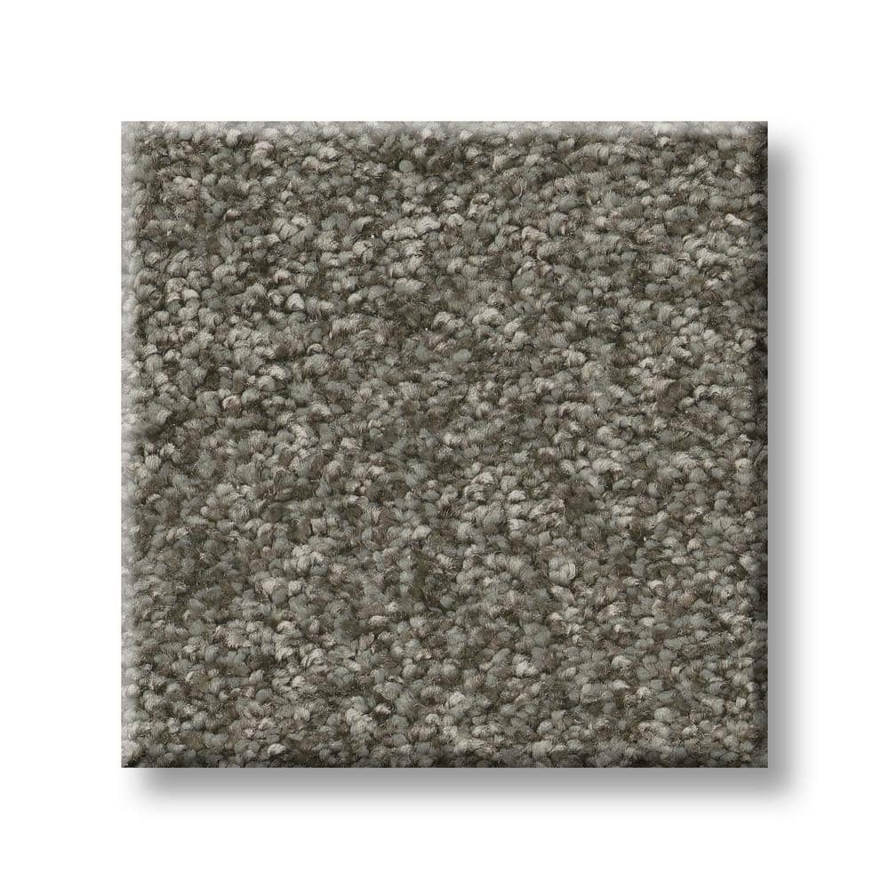 8 in. x 8 in. Texture Carpet Sample - Rosemary II -Color Thyme price history on PriceWatchPro