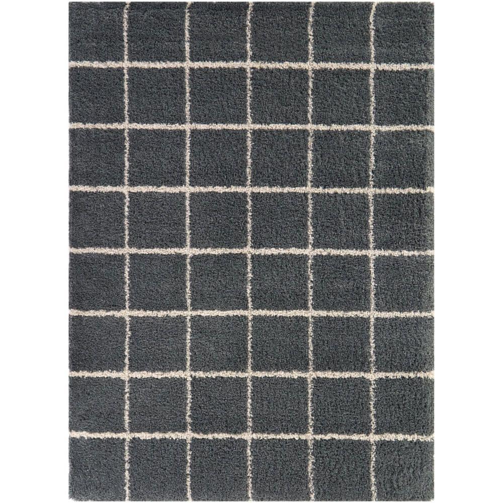 Kagan Charcoal 7 ft. 10 in. x 10 ft. Geometric Area Rug price history on PriceWatchPro