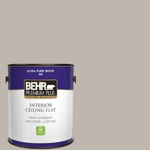 1 gal. #PPU18-12 Graceful Gray Ceiling Flat Interior Paint