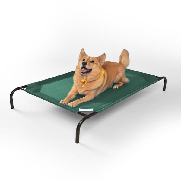 Coolaroo Original Elevated Large Brunswick Green Steel Pet Bed