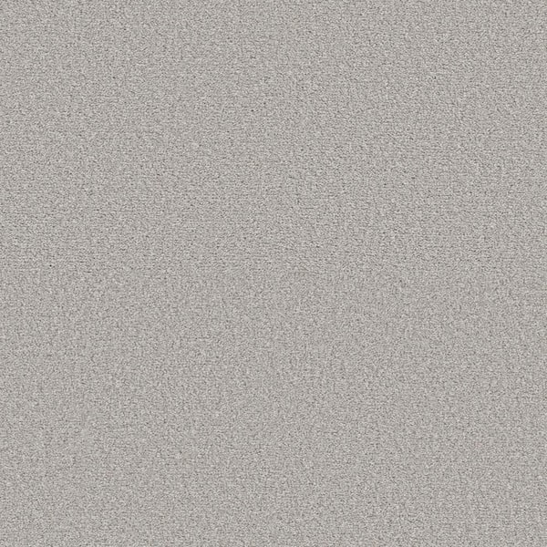 Home Decorators Collection Enchanted - Color Studio 61 oz. Polyester Texture Gray Installed Carpet
