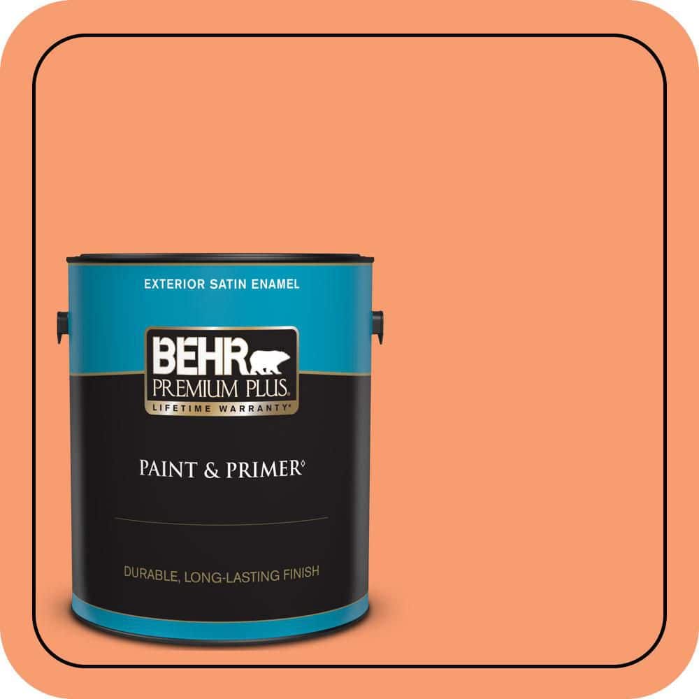 1 gal. #P200-5 Burning Coals Satin Enamel Exterior Paint & Primer price history on PriceWatchPro