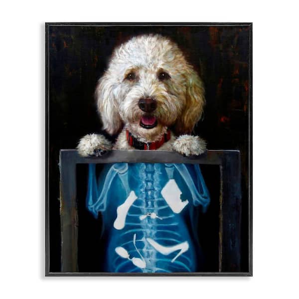 Stupell Industries Funny Dog X-Ray Snacks by Lucia Heffernan 1-Piece Black Framed Animal Giclee Art Print 14 in. x 11 in.