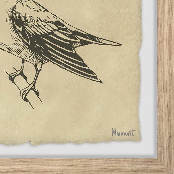flying bird drawing art