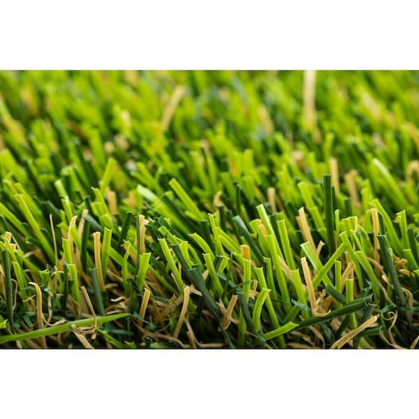 About Everlast Turf  Synthetic Grass Warehouse