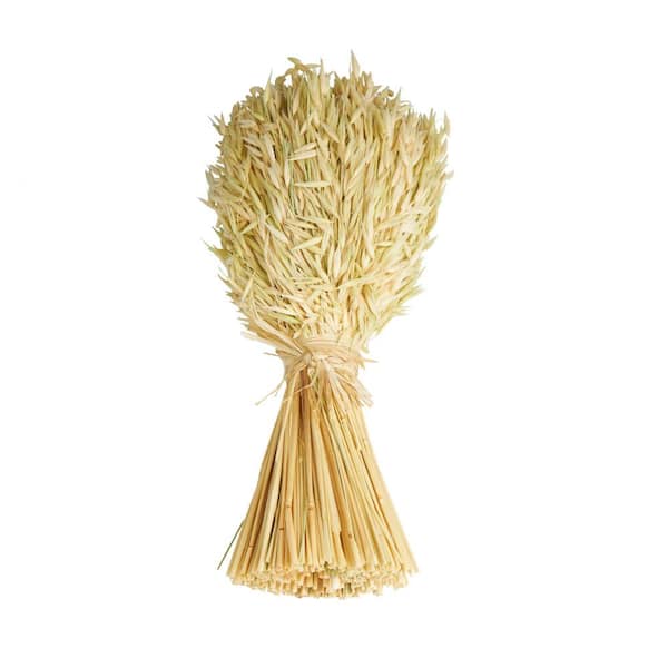 Litton Lane 17 in. Wheat Stalk Bundle Grass Natural Foliage (1 Bundle)