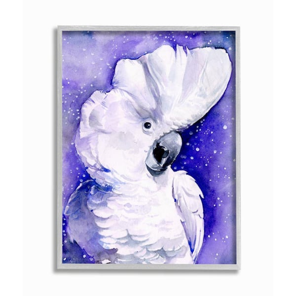 Stupell Industries "Space Bird Watercolor Animal Purple Painting" by Jennifer Paxton Parker Framed Abstract Wall Art 14 in. x 11 in.