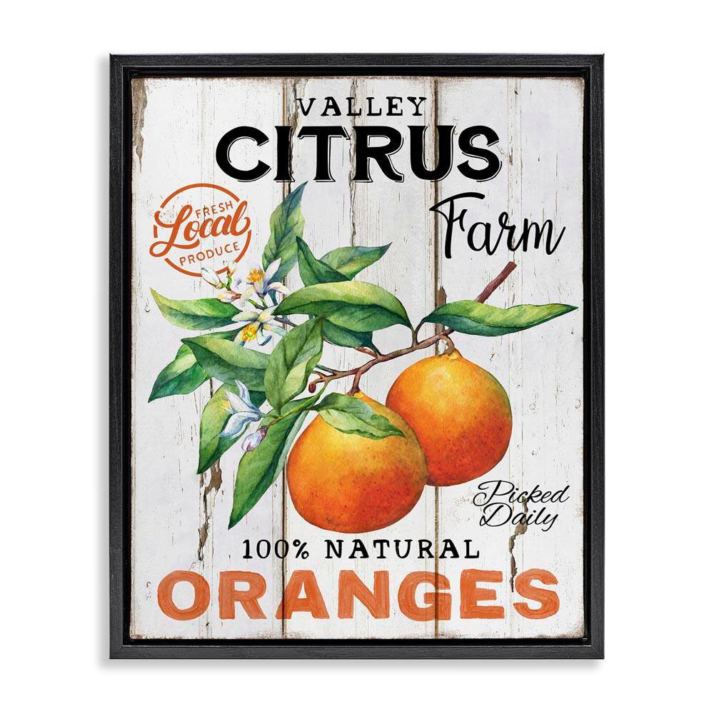 Retro Citrus Farm by Creatif Belle Black Floater Frame Food Graphic Art Print 21 in. x 17 in. price history on PriceWatchPro