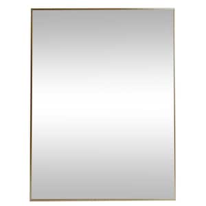 22 in. W x 28 in. H Gold Vanity Mirror