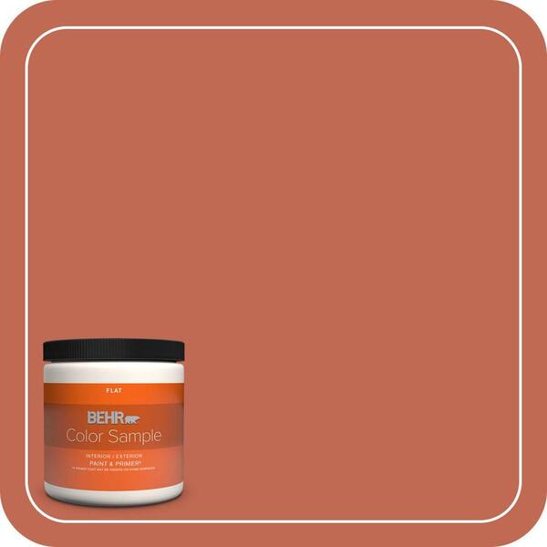 BEHR PREMIUM PLUS 8 oz. Home Decorators Collection #HDC-FL13-3 Warm Cider Flat Interior/Exterior Paint & Primer Color Sample