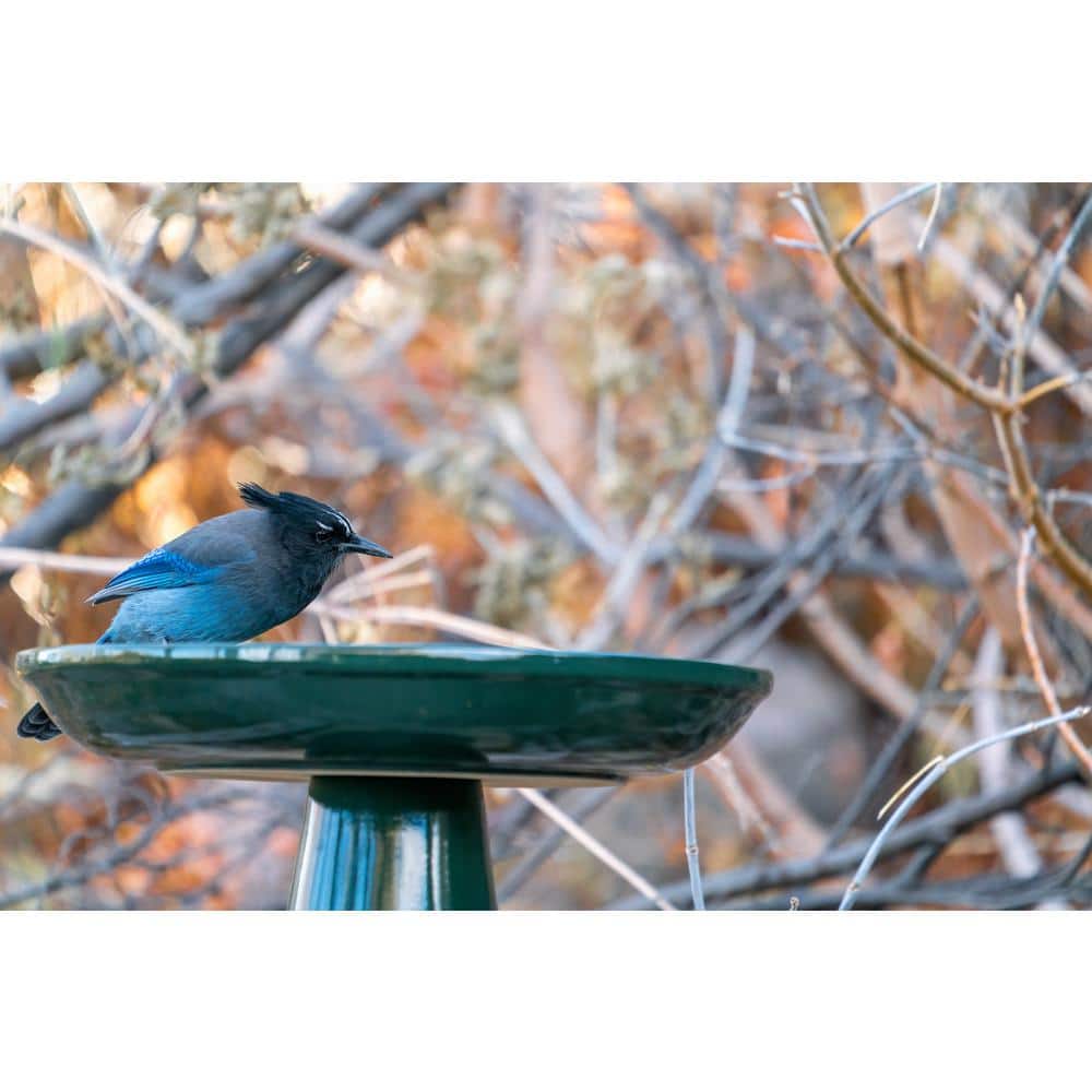 Hunter Green Ceramic Locking Top Bird Bath Stand
