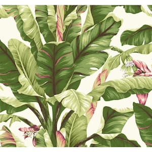 Tropics Banana Leaf Paper Strippable Roll Wallpaper (Covers 60.75 sq. ft.)