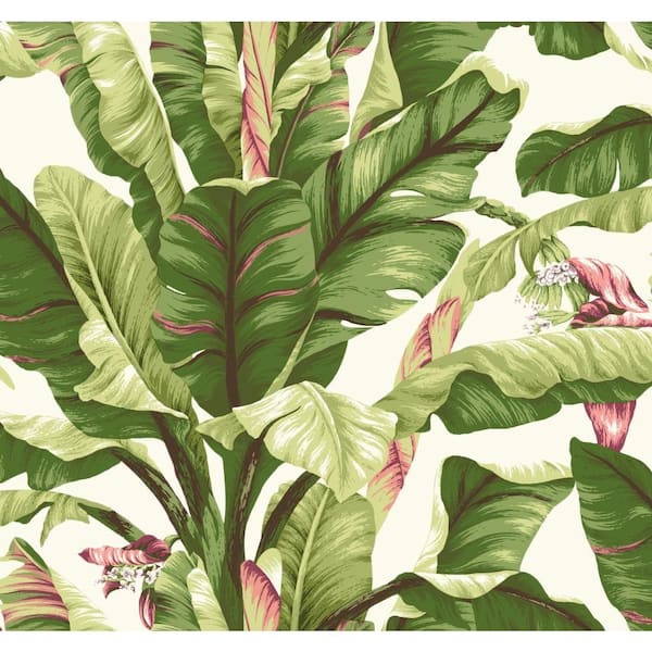 York Wallcoverings Tropics Banana Leaf Paper Strippable Roll Wallpaper (Covers 60.75 sq. ft.)