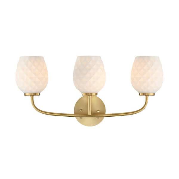 Dita 23 in. 3-Light Brushed Gold Transitional Vanity Light with Etched Opal Glass Shades