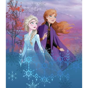 Multi-Colored Disney Frozen Ii Destiny Awaits Tapestry