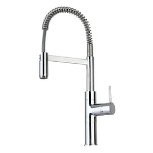 Elba Single-Handle Pull-Down Sprayer Kitchen Faucet in Chrome