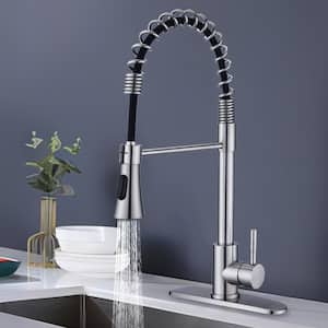 Single-Handle Pull Down Sprayer Kitchen Faucet with Deckplate Included and 2 Models in Brushed Nickel