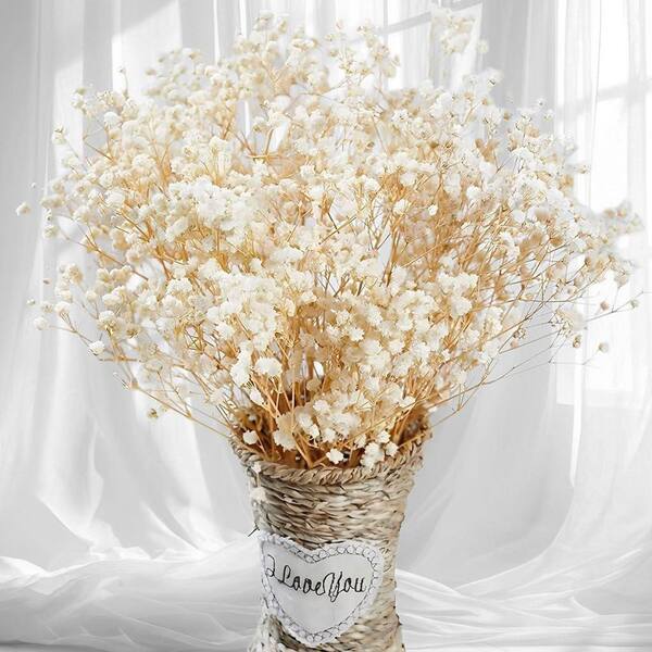 【かなみん】gypsophila Clear Blouson White 5 in. Ivory White Artificial Babys Breath Branch Stem 17 in. Color