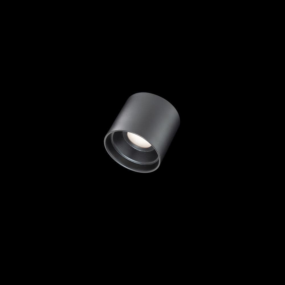 Black Glass LED Indoor/Outdoor Flush Mount Light