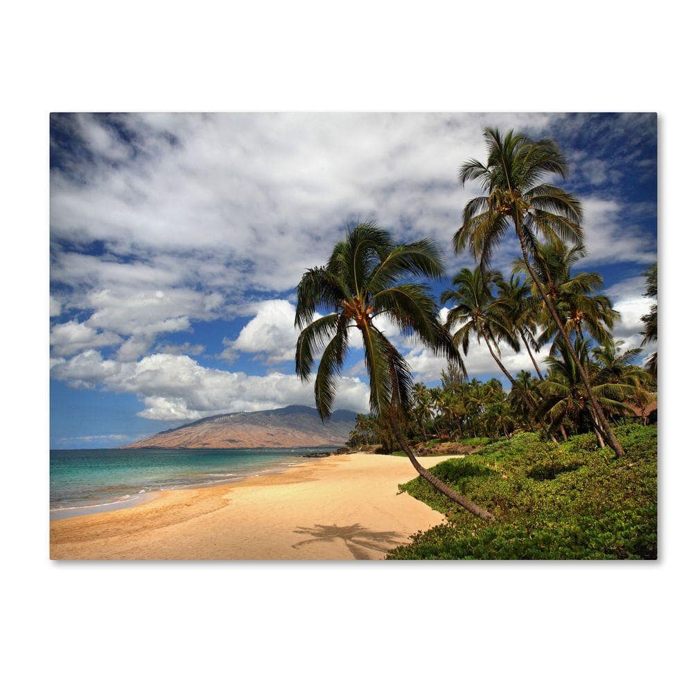 Large Tropical Beach Canvas Art with Wooden Frame