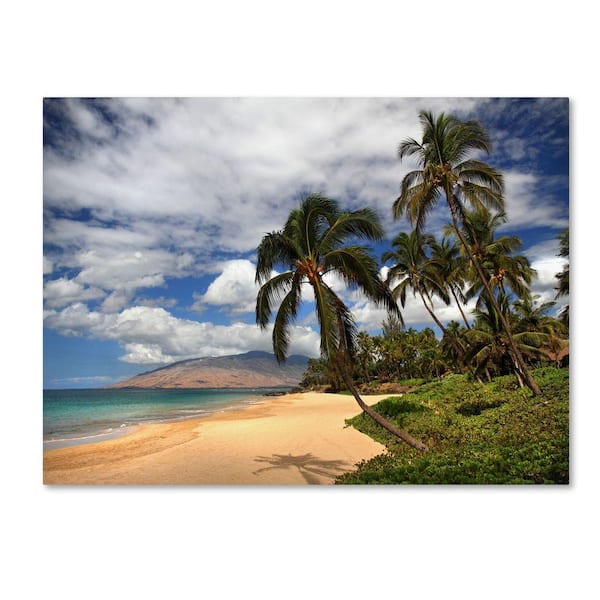 Trademark Fine Art 30 in. x 47 in. Kamaole Tropical Canvas Art