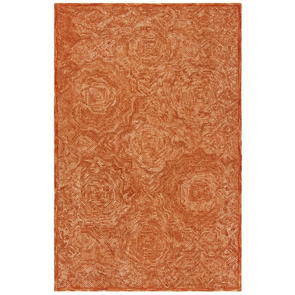 Ikat Rust 6 ft. x 9 ft. Striped Border Area Rug