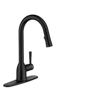 Adler Single-Handle Pull-Down Sprayer Kitchen Faucet with Reflex and Power Clean in Matte Black