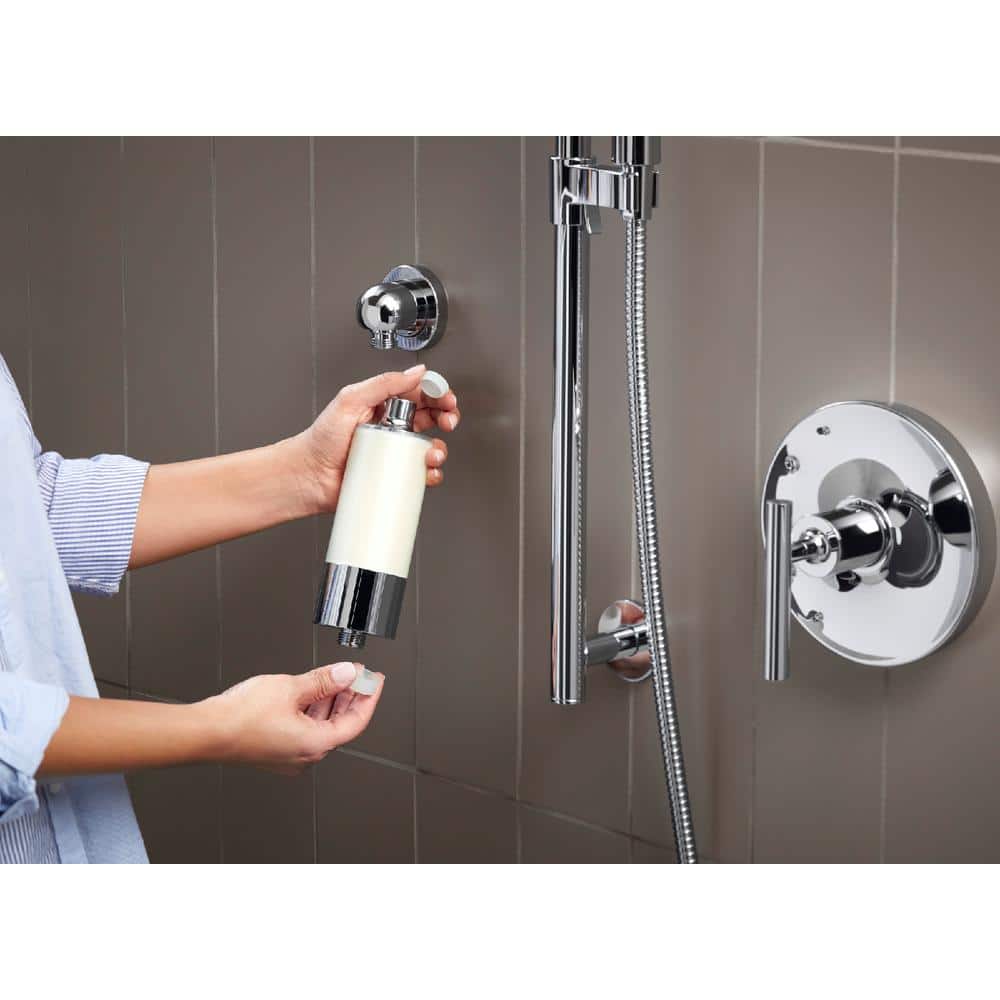 Polished Chrome and Acrylic Shower Filter System
