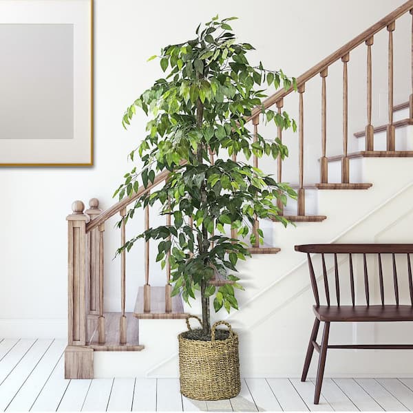 LCG SALES INC Artificial 6-foot Ficus Tree in Basket 19TFP157