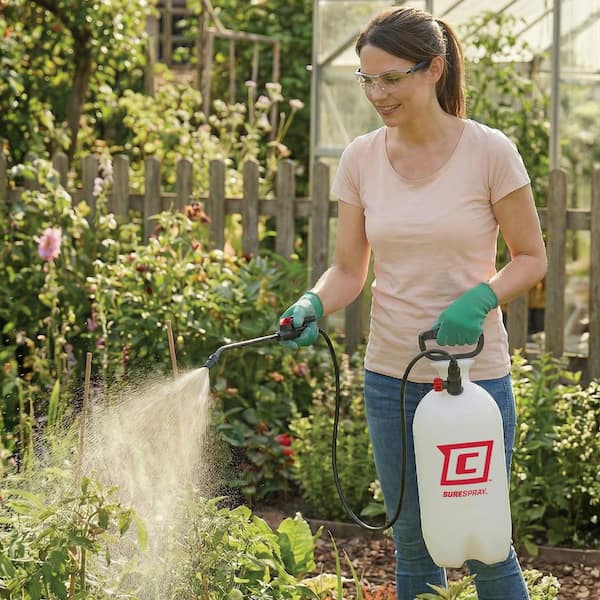 Chapin 2 Gal. Lawn and Garden and Home Project Sprayer 20002 20002