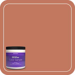 8 oz. #PMD-11 Warm Terra Cotta Eggshell Enamel Interior Paint & Primer Color Sample