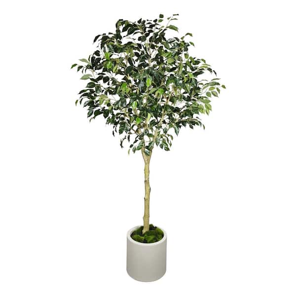 6.5 ft. Artificial Ficus Tree in White Decor Pot, Faux Green Plant Indoor Home Decorative Planter
