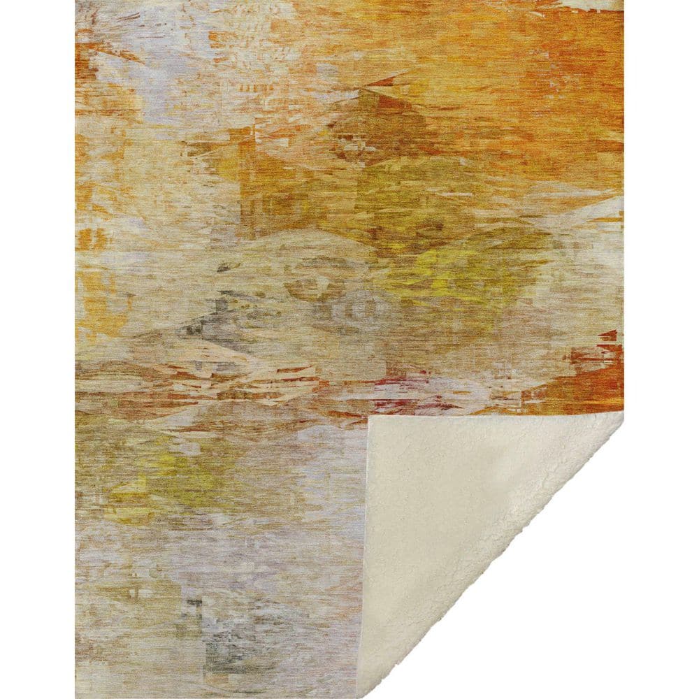 Premium Machine Washable ASB595 Paprika 50 in. x 70 in. Sherpa Throw Blanket price history on PriceWatchPro