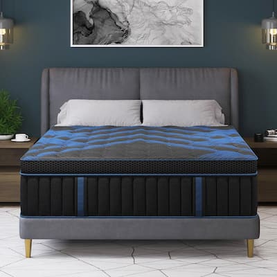 More to Explore product image