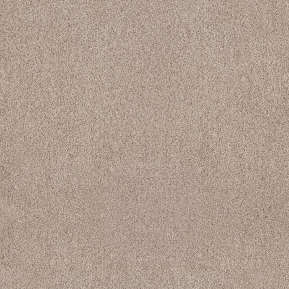 8 in. x 8 in. Texture Carpet Sample - Dreamy Daze II -Color Maren price history on PriceWatchPro