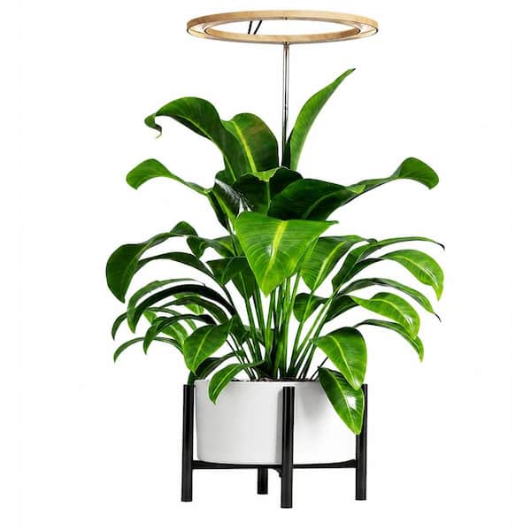 10 in Full Spectrum Indoor Plant Grow Light with 160 LED Ring, 11-65 in Height Adjustable Stake, 9-Level Dimming