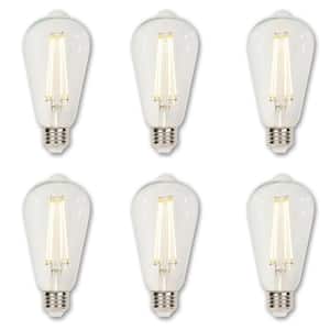40-Watt Equivalent ST20 Dimmable Clear Edison Filament LED Light Bulb Soft White Light (6-Pack)